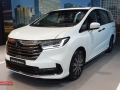Honda Odyssey sidoarjo 1